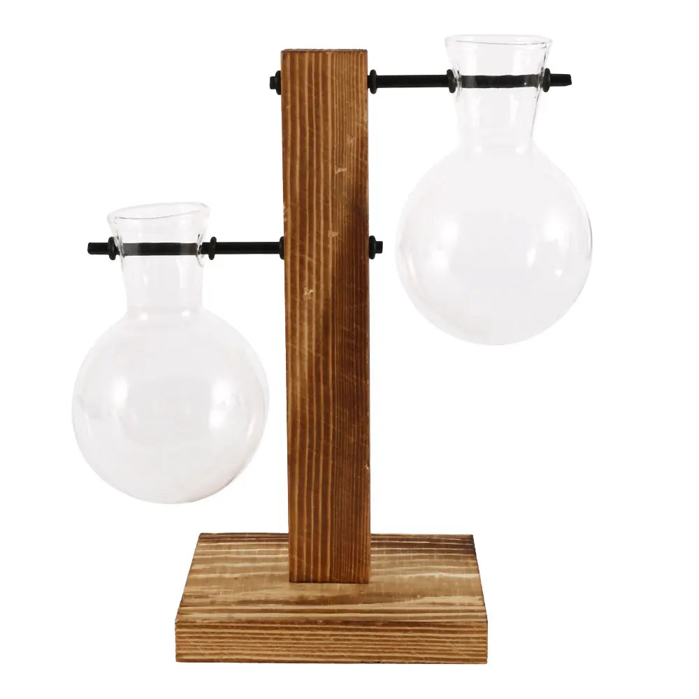 Glass Bulb Plant Planter on Wooden Stand – Hydroponic Desk Decor