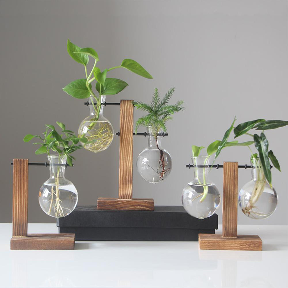 Glass Bulb Plant Planter on Wooden Stand – Hydroponic Desk Decor