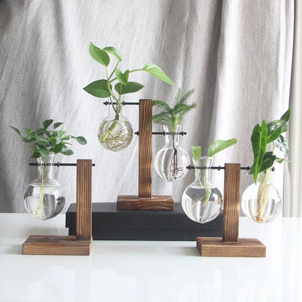 Glass Bulb Plant Planter on Wooden Stand – Hydroponic Desk Decor