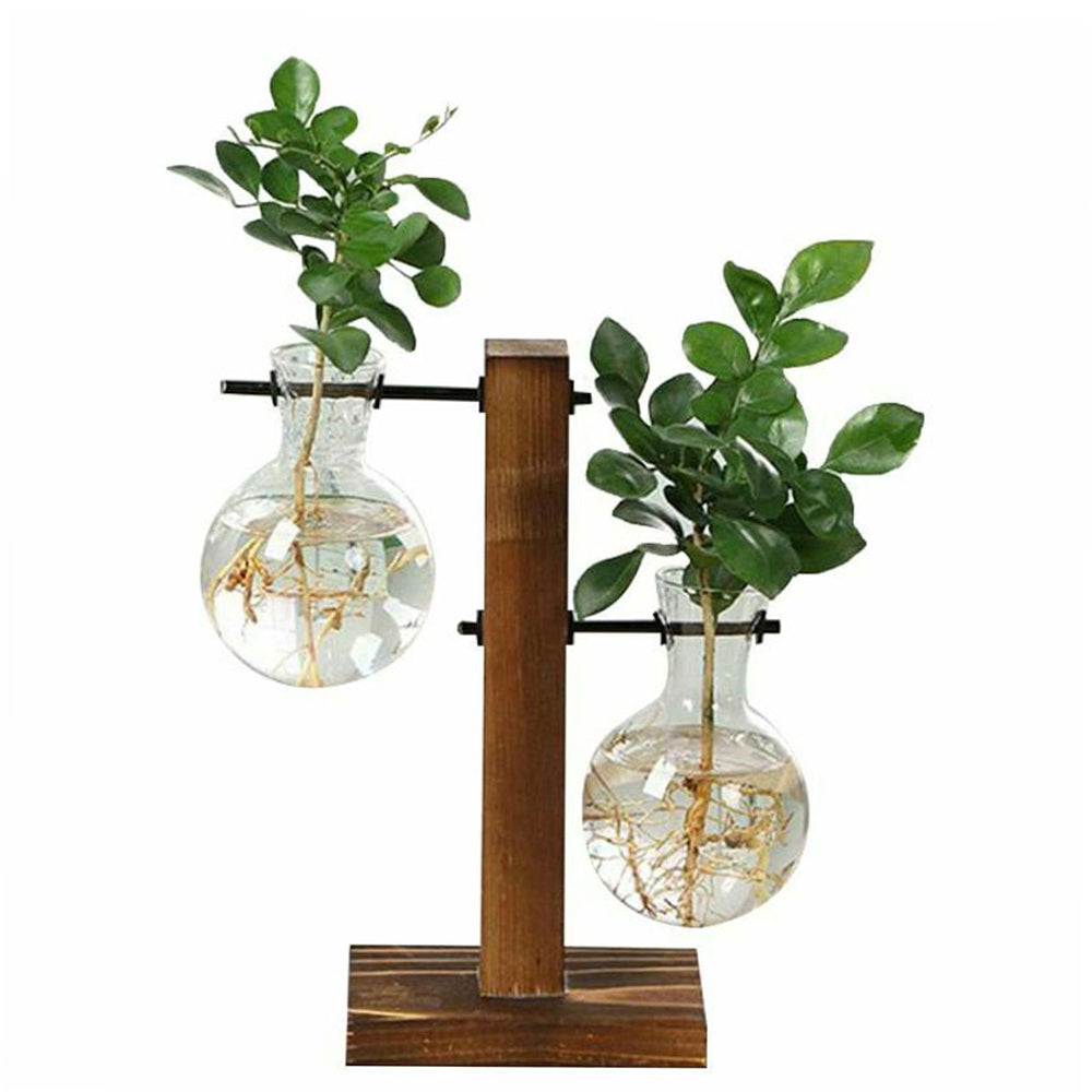 Glass Bulb Plant Planter on Wooden Stand – Hydroponic Desk Decor
