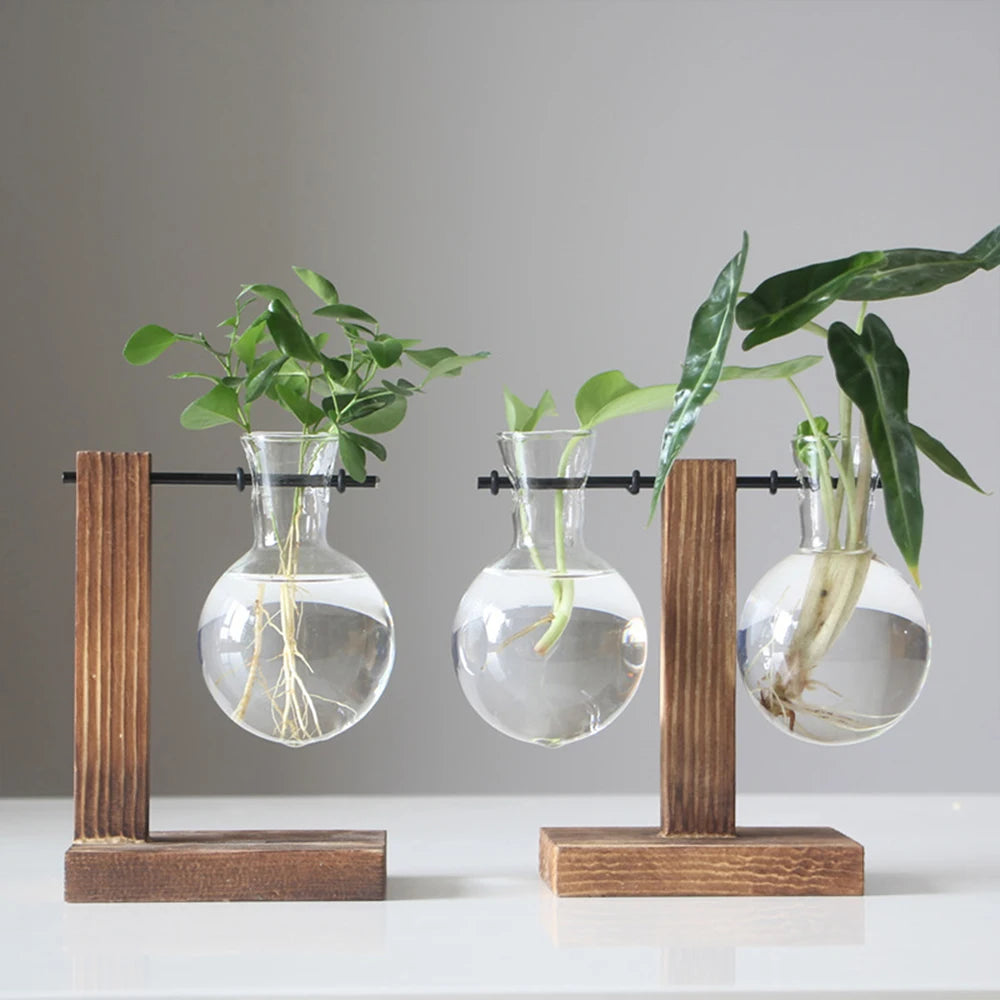 Glass Bulb Plant Planter on Wooden Stand – Hydroponic Desk Decor