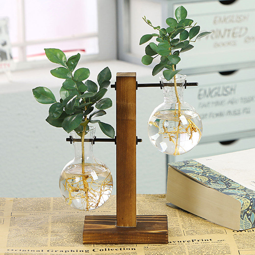 Glass Bulb Plant Planter on Wooden Stand – Hydroponic Desk Decor