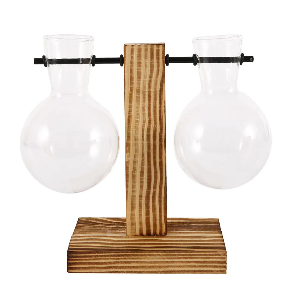 Glass Bulb Plant Planter on Wooden Stand – Hydroponic Desk Decor