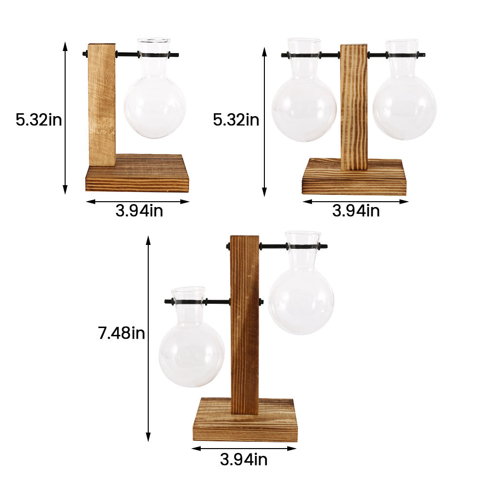 Glass Bulb Plant Planter on Wooden Stand – Hydroponic Desk Decor