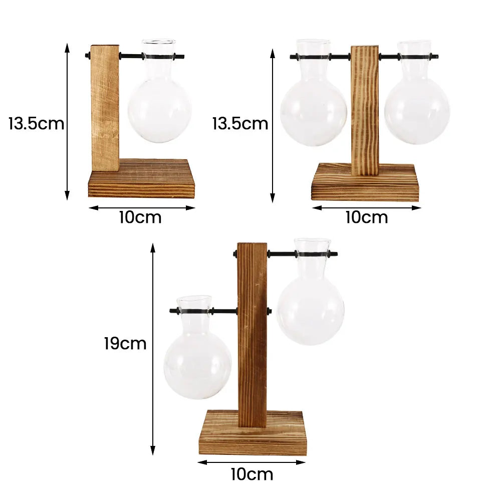 Glass Bulb Plant Planter on Wooden Stand – Hydroponic Desk Decor