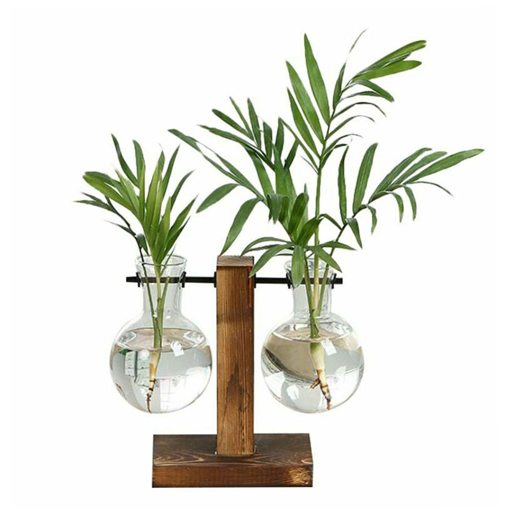 Glass Bulb Plant Planter on Wooden Stand – Hydroponic Desk Decor
