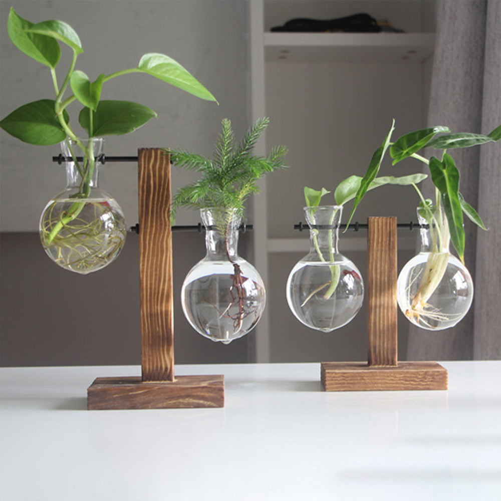 Glass Bulb Plant Planter on Wooden Stand – Hydroponic Desk Decor