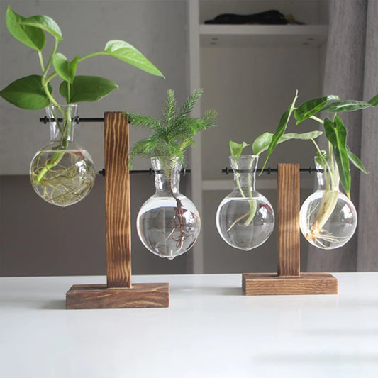 Glass Bulb Plant Planter on Wooden Stand – Hydroponic Desk Decor